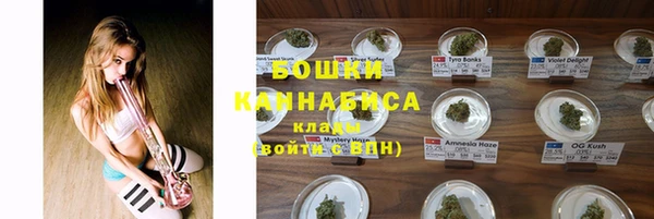 ГАЛЛЮЦИНОГЕННЫЕ ГРИБЫ Верея