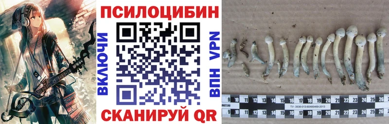 Псилоцибиновые грибы прущие грибы  как найти закладки  мориарти состав  Вилючинск  мега  